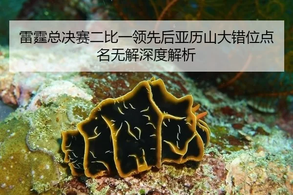 雷霆总决赛二比一领先后亚历山大错位点名无解深度解析